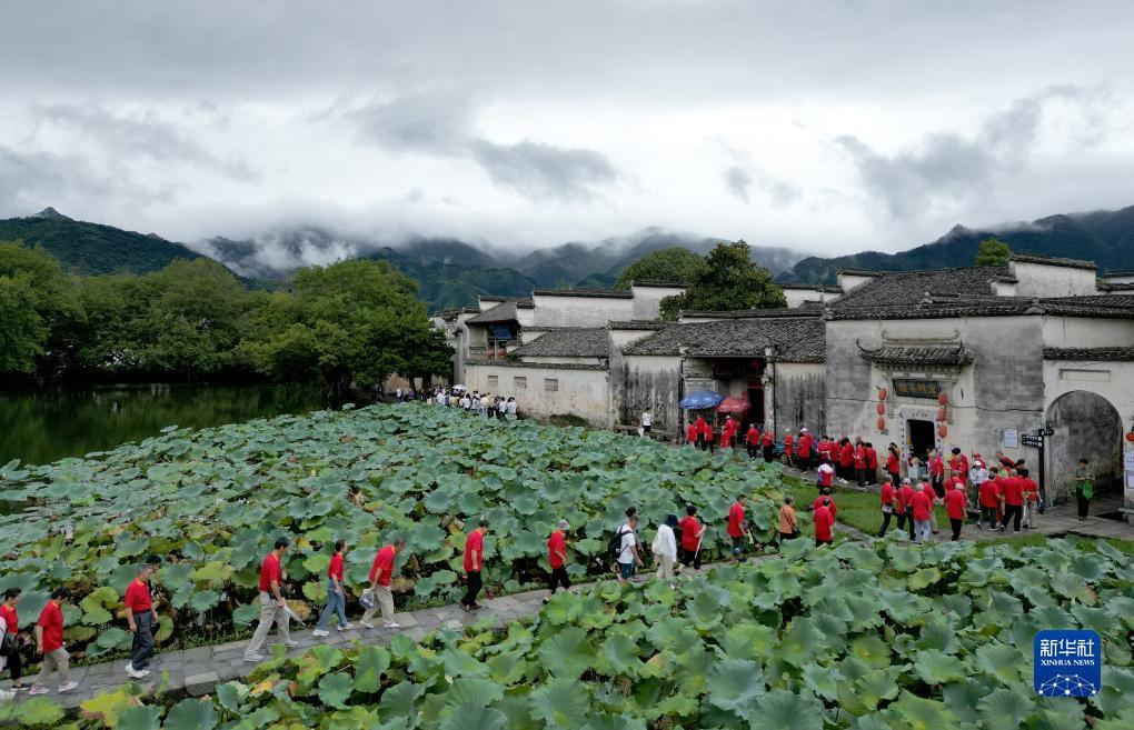 大发手机版网页版登陆